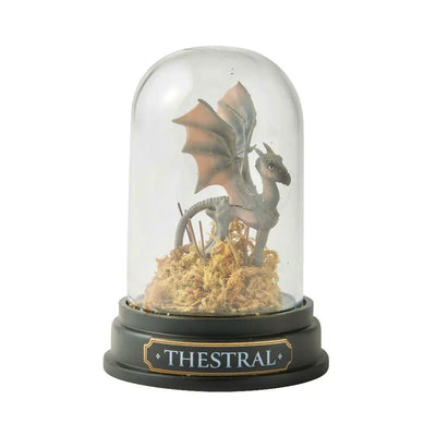 Harry Potter Pet Curiosity Cloche