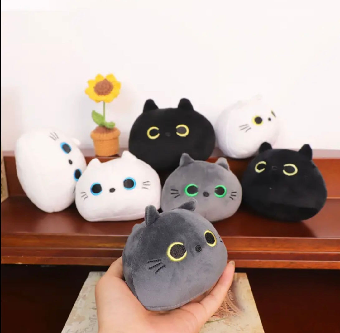 Mystery Mini Kitty Plushie