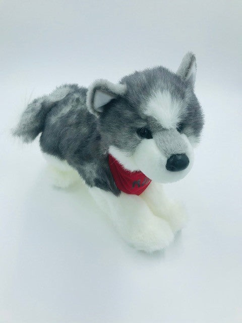 Ali Husky Plushie – Jessii Vee's Peculiar Place