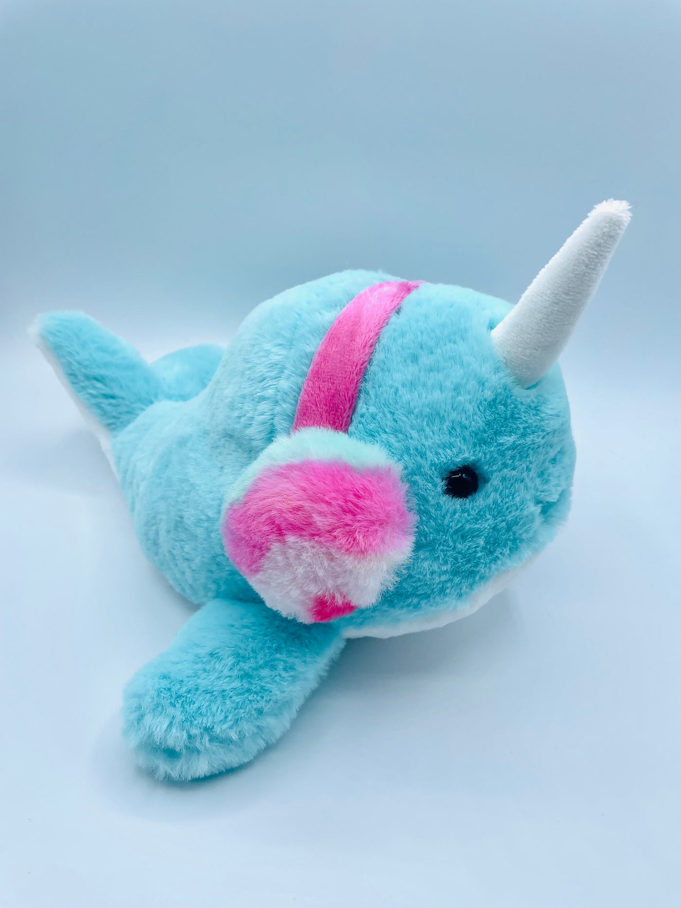 Chilly Narwhal