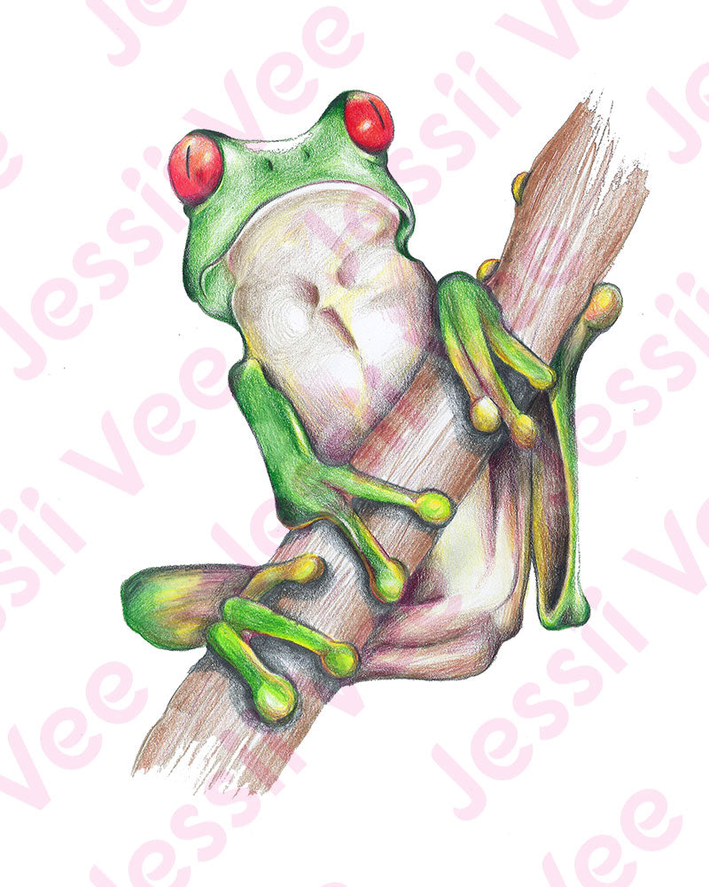 Green Frog - Pencil Crayon