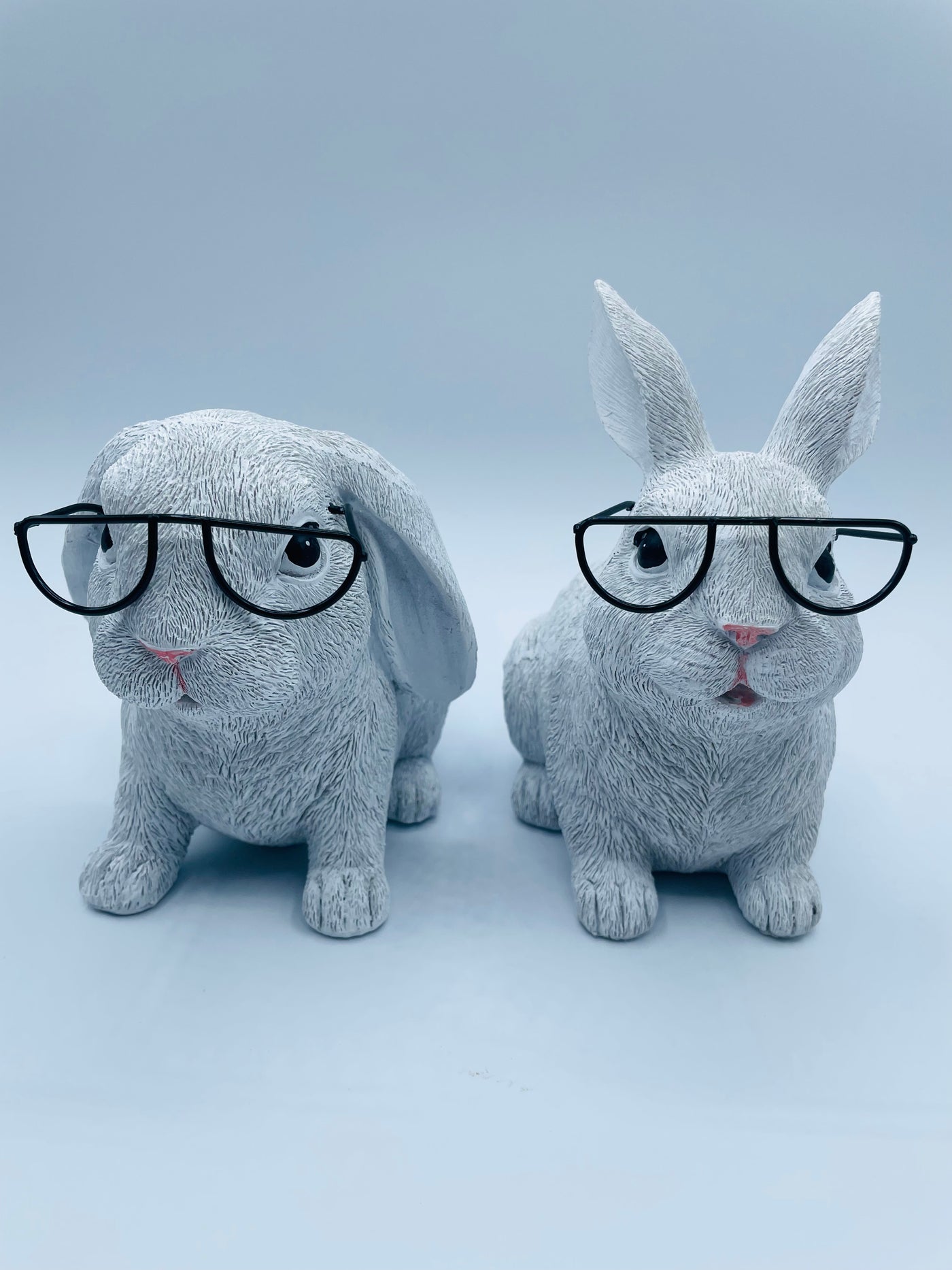 Glasses Bunny