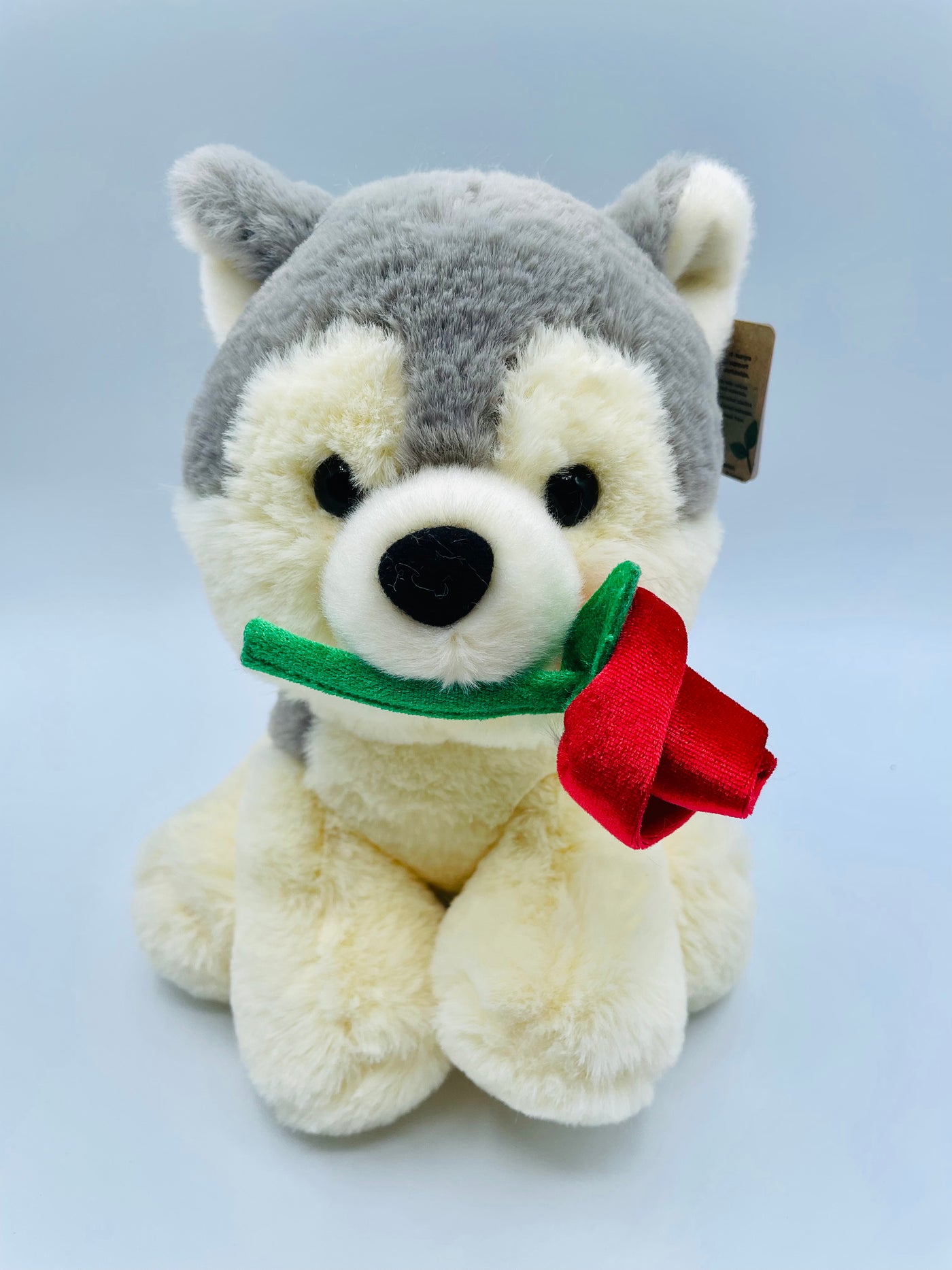 Allii Puppy with Rose by Mandii Vee